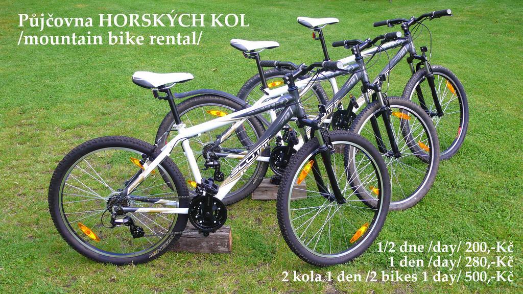Penzion Fousek Zvíkovské Podhradí Eksteriør bilde